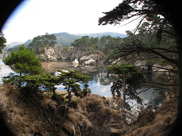 Point Lobos - 13