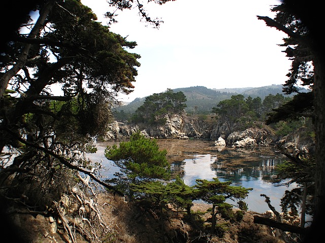Point Lobos - 12